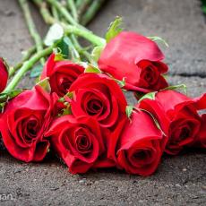 2019 Candlelight Vigil and Memorial Service